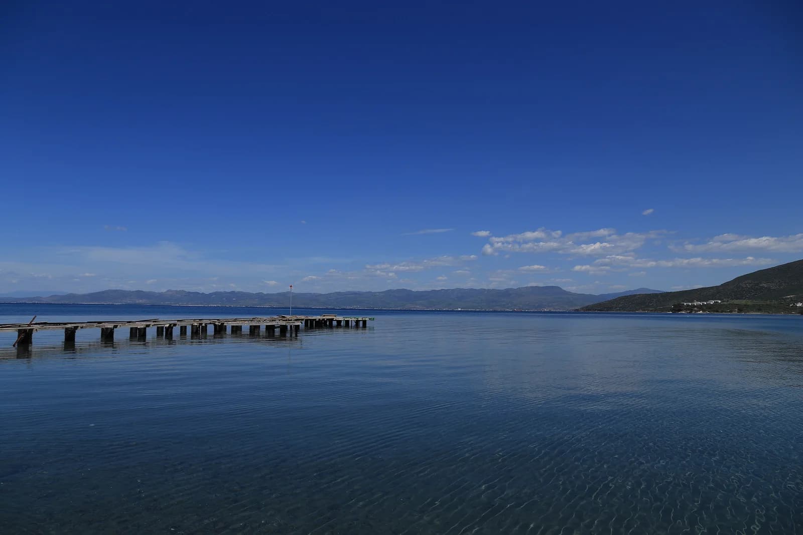 Bademli kapak gorseli