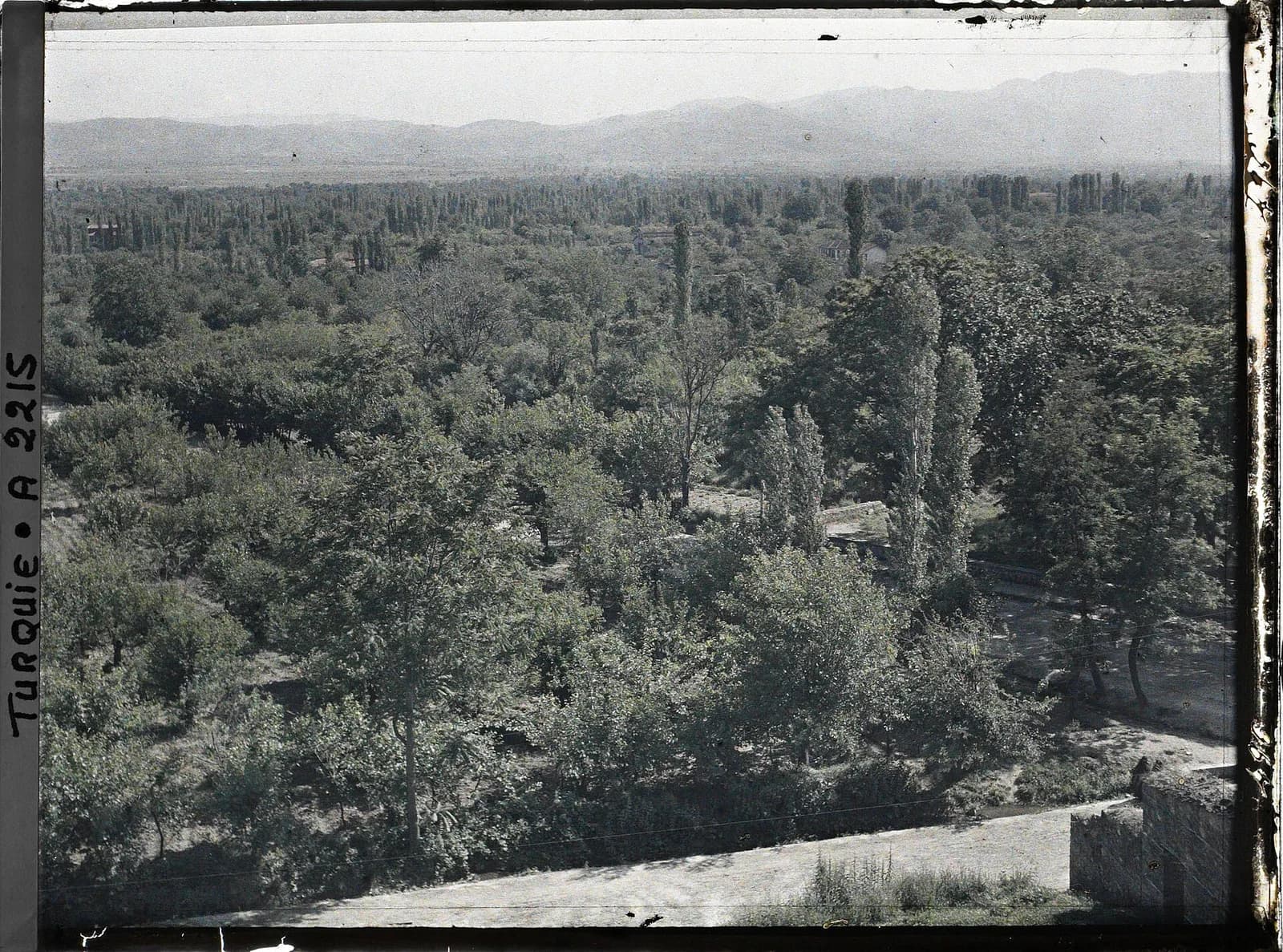 Bursa