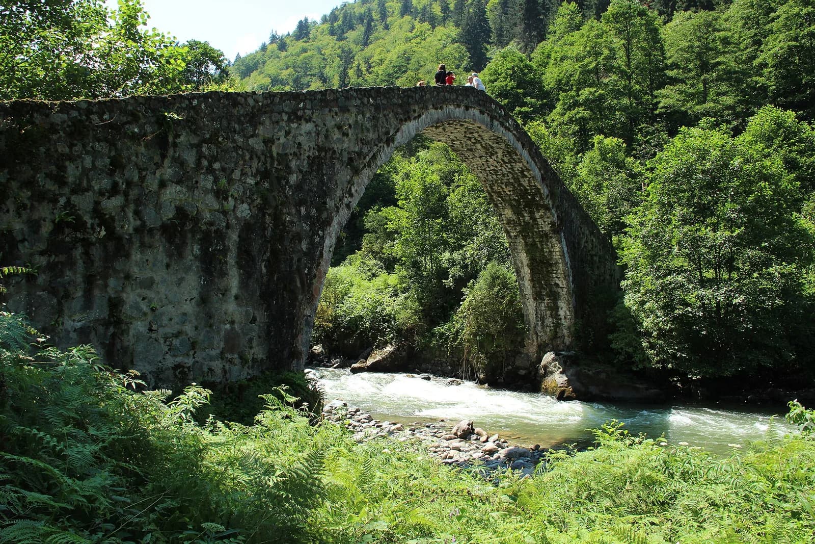 Karadeniz